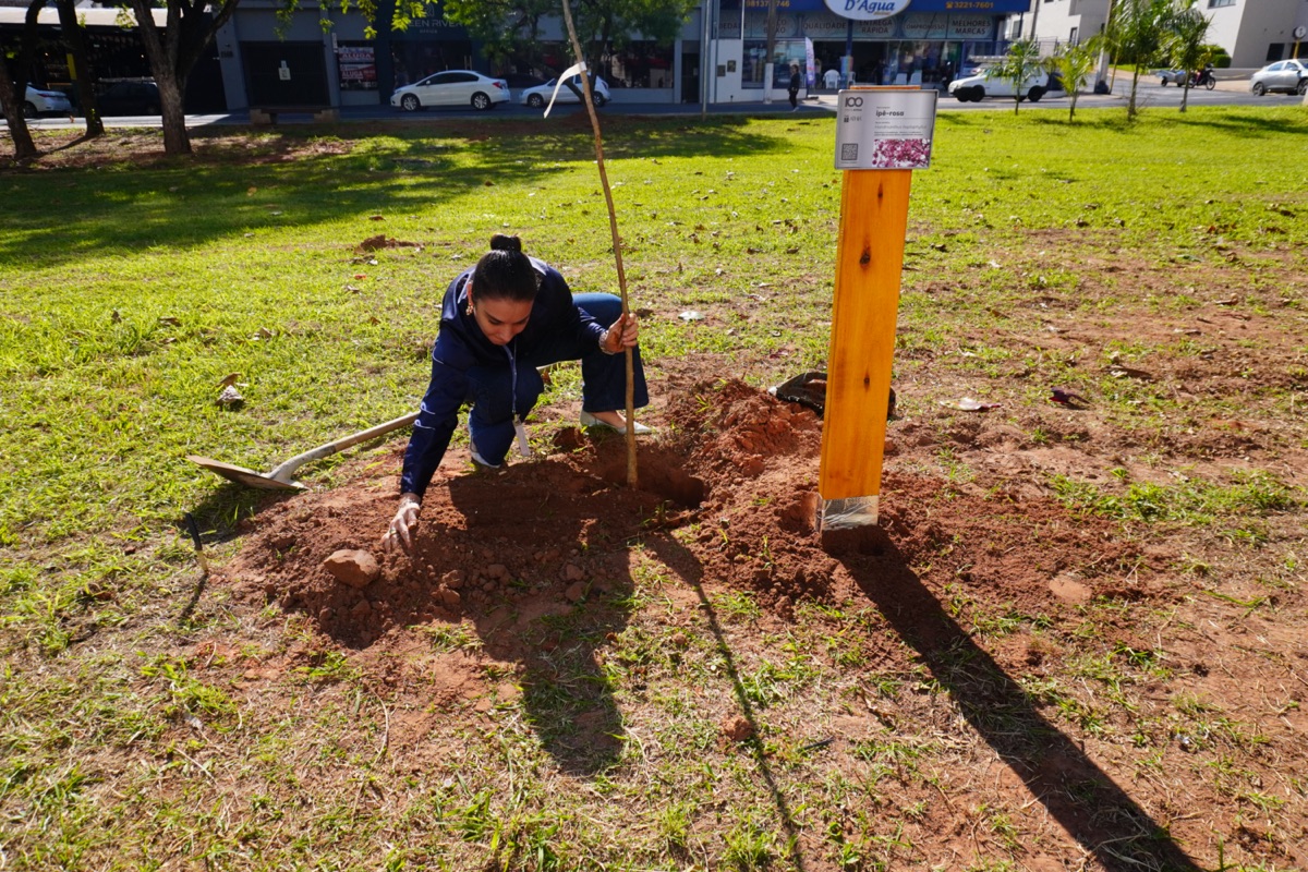 Plantio de mudas na a&ccedil;&atilde;o 100 Anos 100 &Aacute;rvores